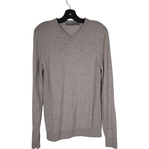 icebreaker Men's 100% Merino Wool Gray V Neck Sweater Size S - Picture 1 of 9